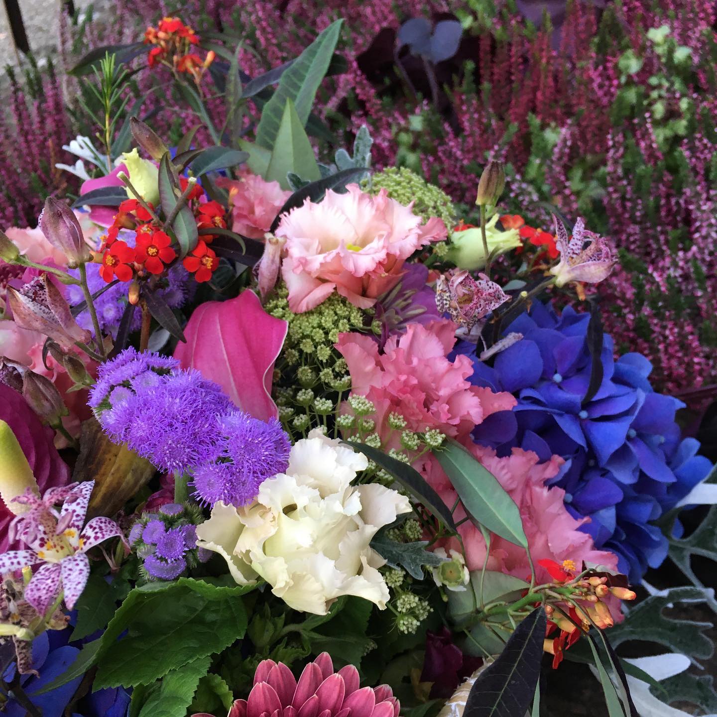 bouquet de fleurs galerie de création Chloé Savary Fleuriste à Mies