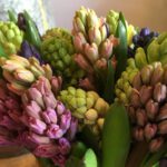 Bouquet de fleurs de saison modulable bouquet de jacinthes achat en ligne de fleurs