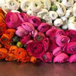Bouquet de fleurs de saison modulable bouquet de renoncules achat en ligne de fleurs