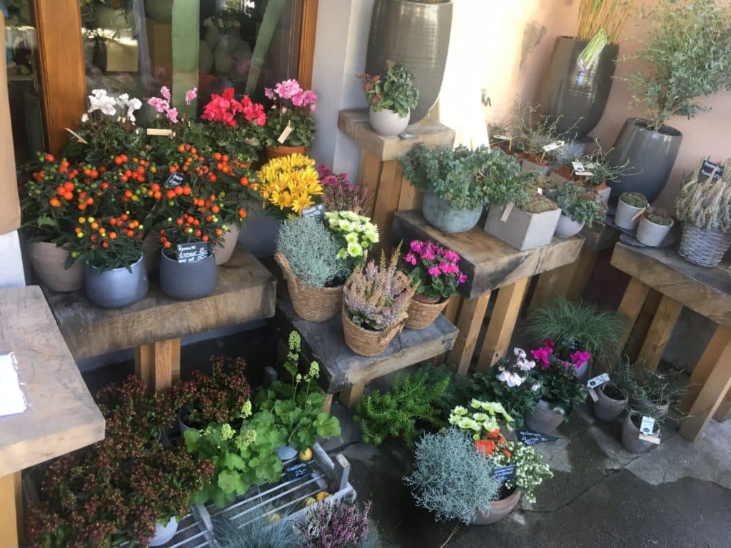 Présentation boutique de fleurs à Mies Chloé Savary