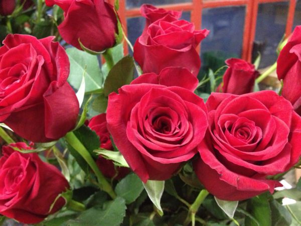 Bouquet de roses achat fleurs en ligne saint-valentin