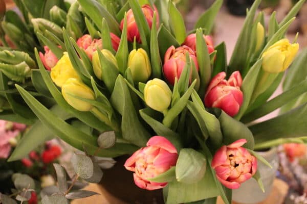 Bouquet de fleurs de saison modulable bouquet de tulipes achat en ligne de fleurs