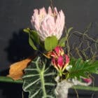 Chloé Savary, arrangement original, saint-valentin