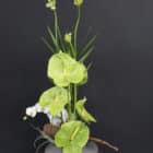 Chloé Savary, arrangement original, saint-valentin