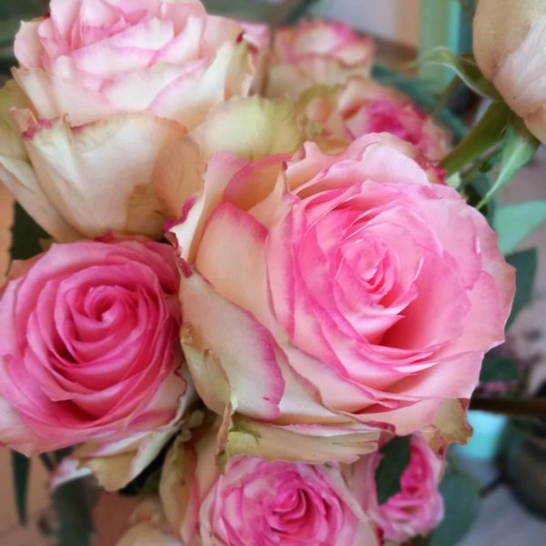 roses espérences 8 mars journée de la femme