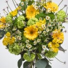 bouquet soleil